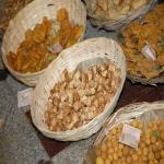 Vraj-Yatra-2014- (1069)